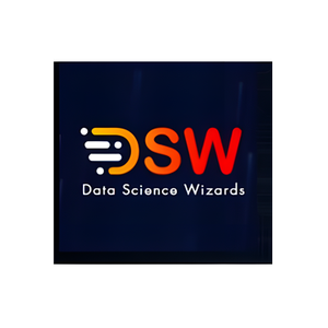 Data Science Wizards brand logo for datasciencewizards.ai