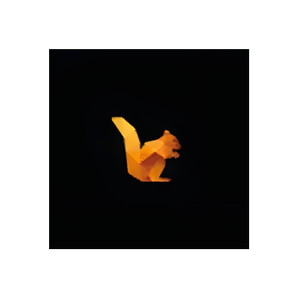 Data Squirrel brand logo for datasquirrel.ai