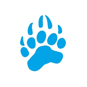 Databear brand logo for databear.com