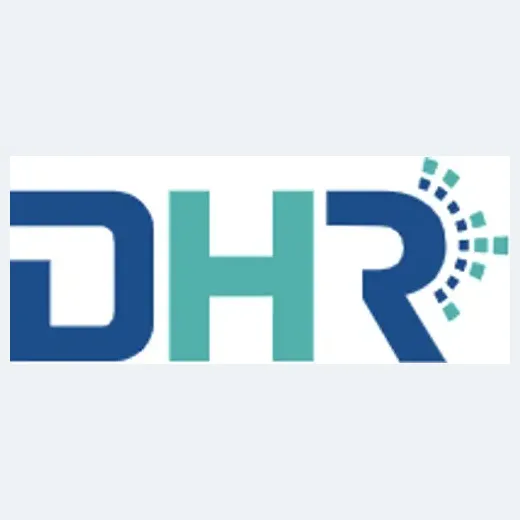 DataHorizzon brand logo for datahorizzonresearch.com