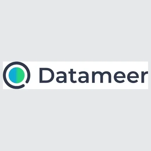Datameer brand logo for datameer.com