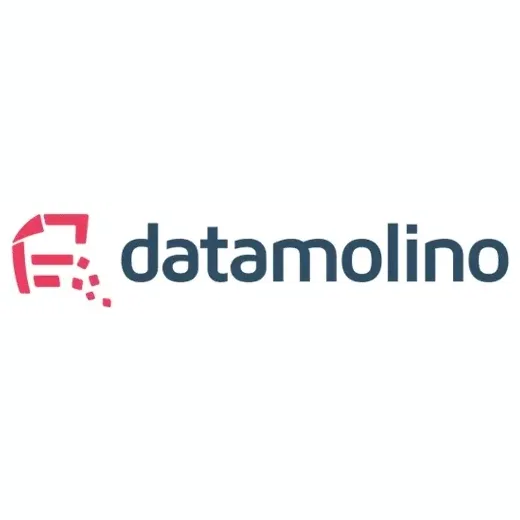 Datamolino brand logo for datamolino.com