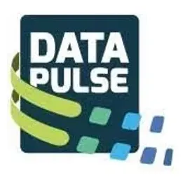 DataPulse brand logo for datapulse.global