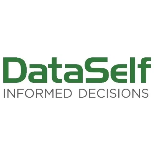DataSelf brand logo for dataself.com