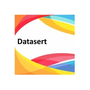 Datasert brand logo for datasert.com