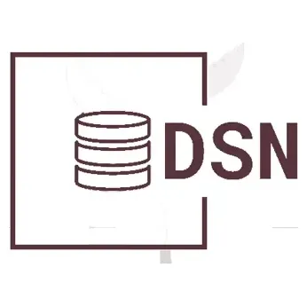 dataserversnow brand logo for dataserversnow.com