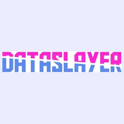 Dataslayer brand logo for dataslayer.ai