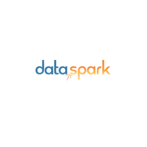 DataSpark brand logo for dataspark.co