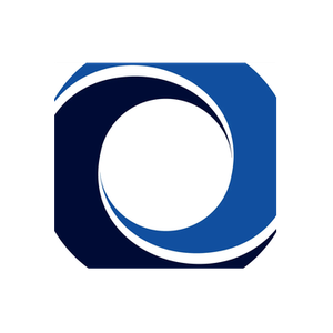 DataWalk brand logo for datawalk.com