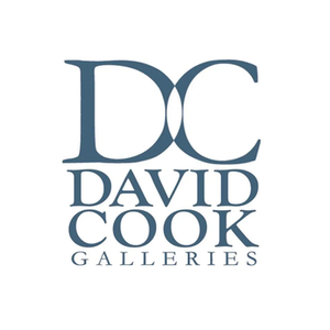David Cook Galleries brand logo for davidcookgalleries.com