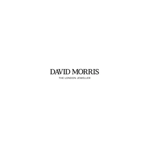 David Morris brand logo for davidmorris.com