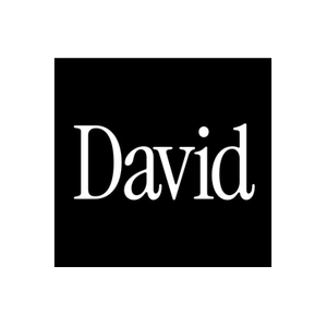 David Protein brand logo for davidprotein.com