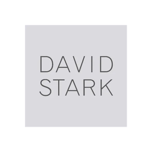 David Stark brand logo for davidstarkdesign.com