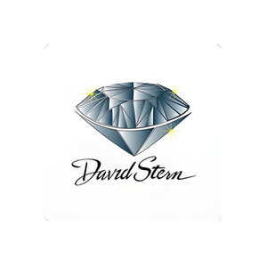 David Stern Jewelers brand logo for davidsternjewelers.com
