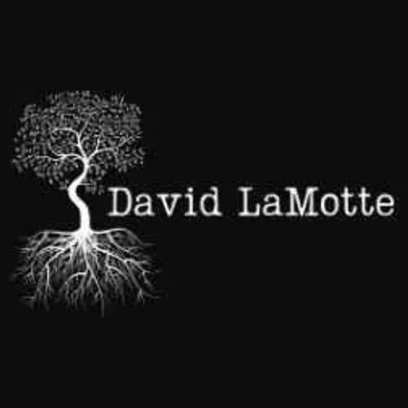 davidlamotte brand logo for davidlamotte.com
