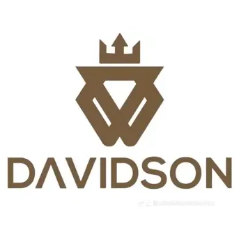 Davidson's Watches brand logo for davidsonwatches.com