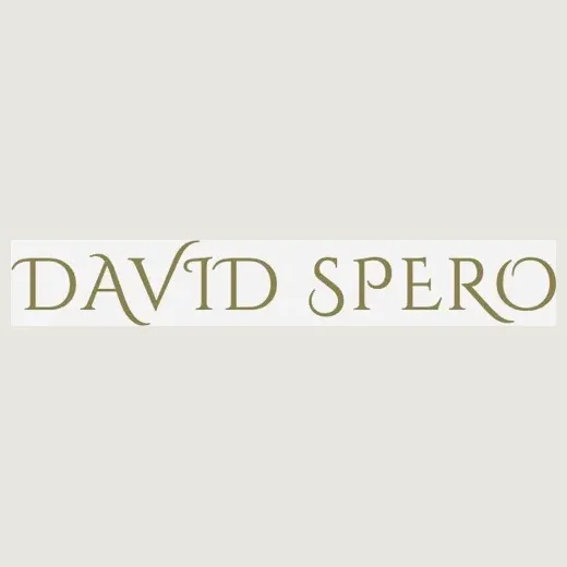 davidspero brand logo for davidspero.org