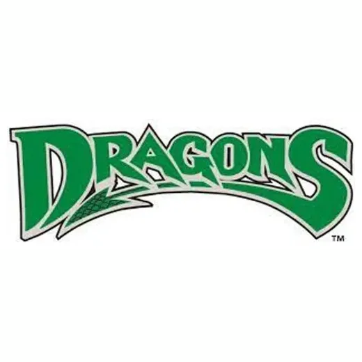Dayton Dragons brand logo for dragons.milbstore.com