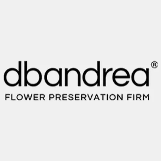 DB & Andrea brand logo for dbandrea.com