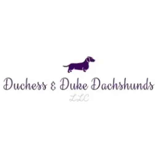 DD Dachshunds brand logo for dddachshunds.com