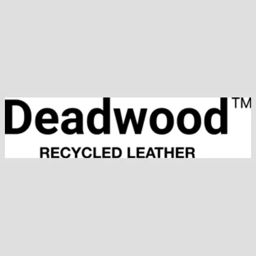 Deadwood Studios brand logo for deadwoodstudios.com