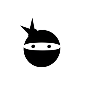 Debt Ninjas brand logo for debt-ninjas.com