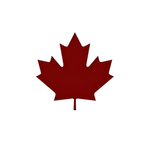 Decalshut brand logo for decalshut.ca