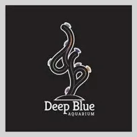 Deep Blue Reef brand logo for deepbluereef.net
