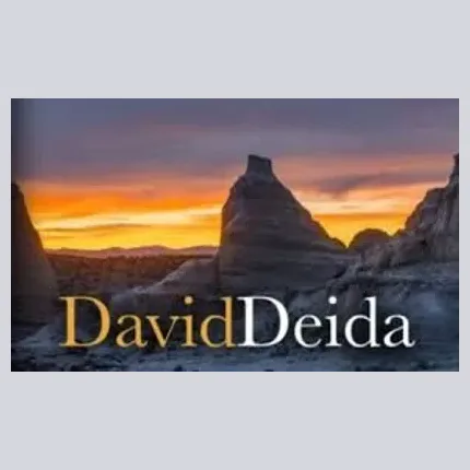 Deida brand logo for deida.info