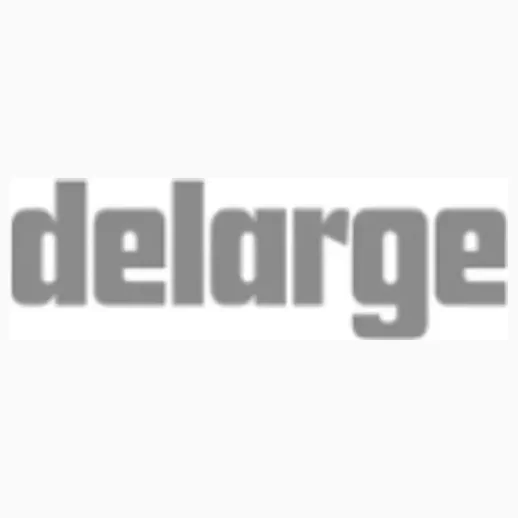 Delarge brand logo for delarge.com