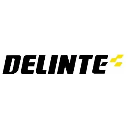 Delinte Tires brand logo for delintetires.com
