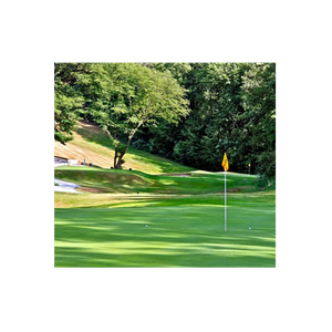 Denham Golf Club brand logo for denhamgolfclub.co.uk
