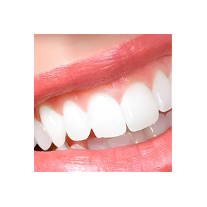Dental Pro 7 brand logo for dentalpro7.com