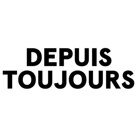 Depuis Toujours brand logo for depuistoujours.com