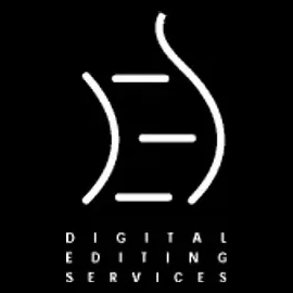 Des Mastering brand logo for desmastering.com