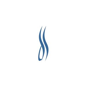 Desert Springs Dental brand logo for desertspringsdental.com