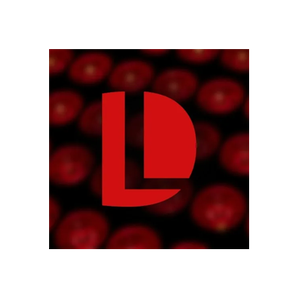Desired Lights brand logo for desiredlights.com
