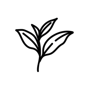 Desiree Nelson brand logo for desireenelson.com