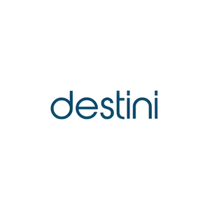 Destini brand logo for destini.co