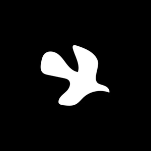 deuxbirds brand logo for deuxbirds.shop