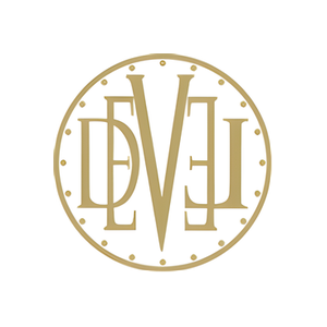 Devel Motors brand logo for develmotors.com