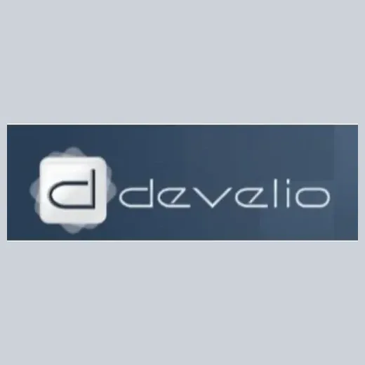 Develio brand logo for develio.com