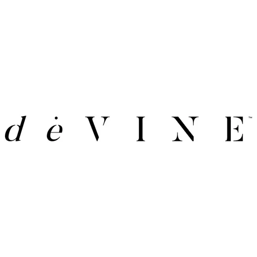 Devine brand logo for devineboston.com