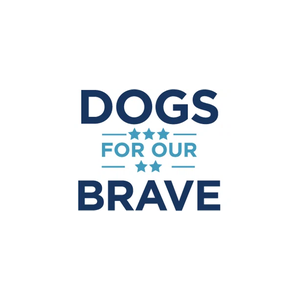 DFOB brand logo for dfob.org
