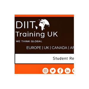 DI-IT brand logo for diitconsulting.co.uk