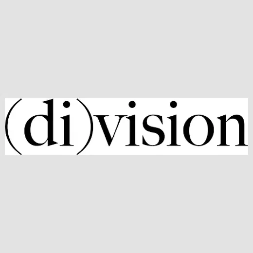 DI-VSN brand logo for di-vsn.com