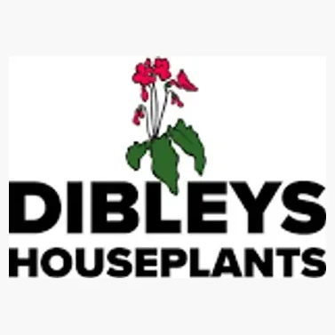 Dibleys brand logo for dibleys-shop.com