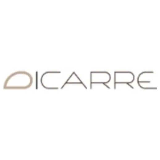Dicarre brand logo for dicarre.com