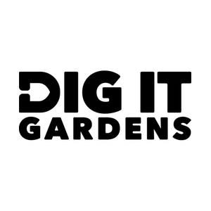 Dig Phoenix brand logo for digphx.com