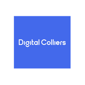 Digital Colliers brand logo for digitalcolliers.com